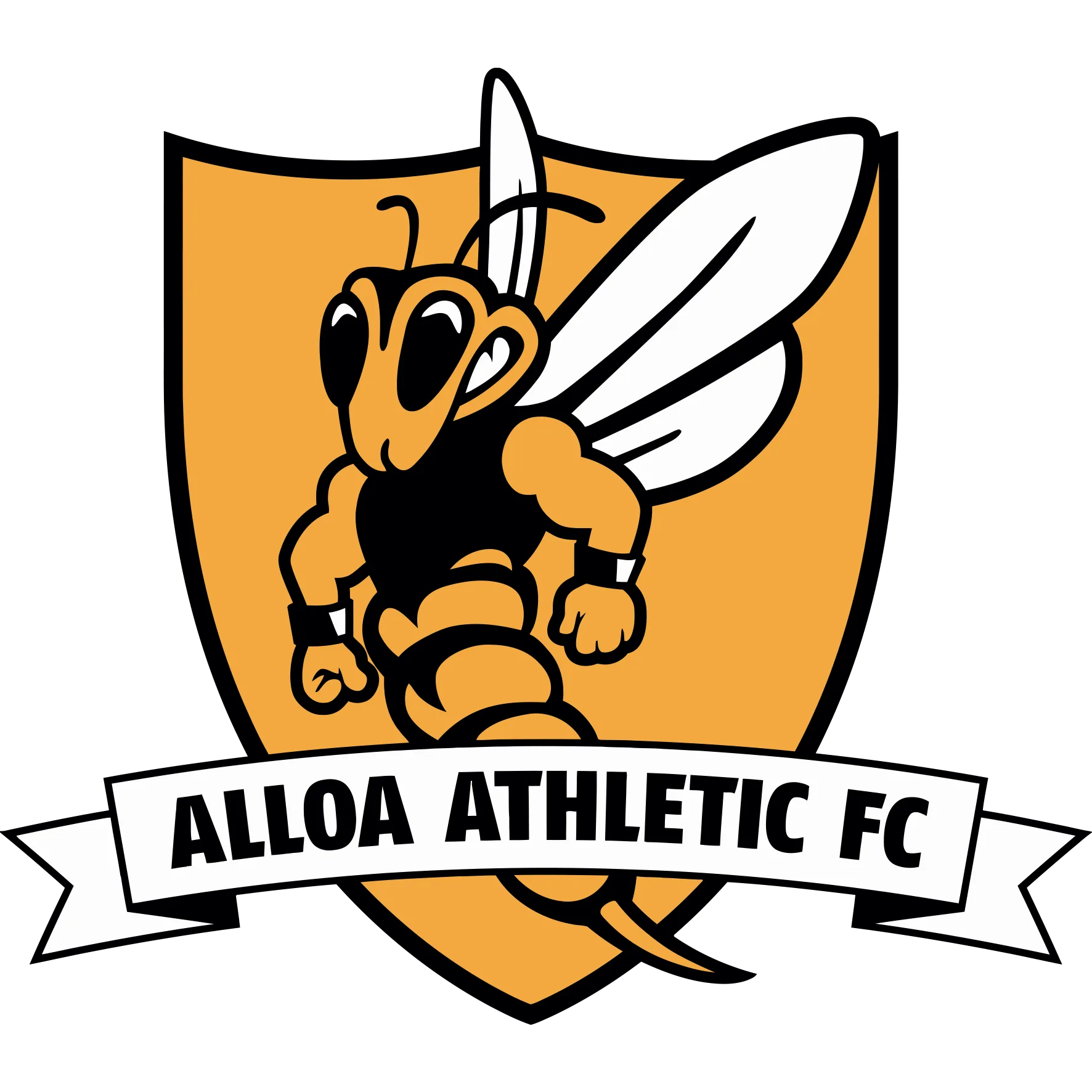  Match Info v Alloa Athletic (A) - 24th Oct 26